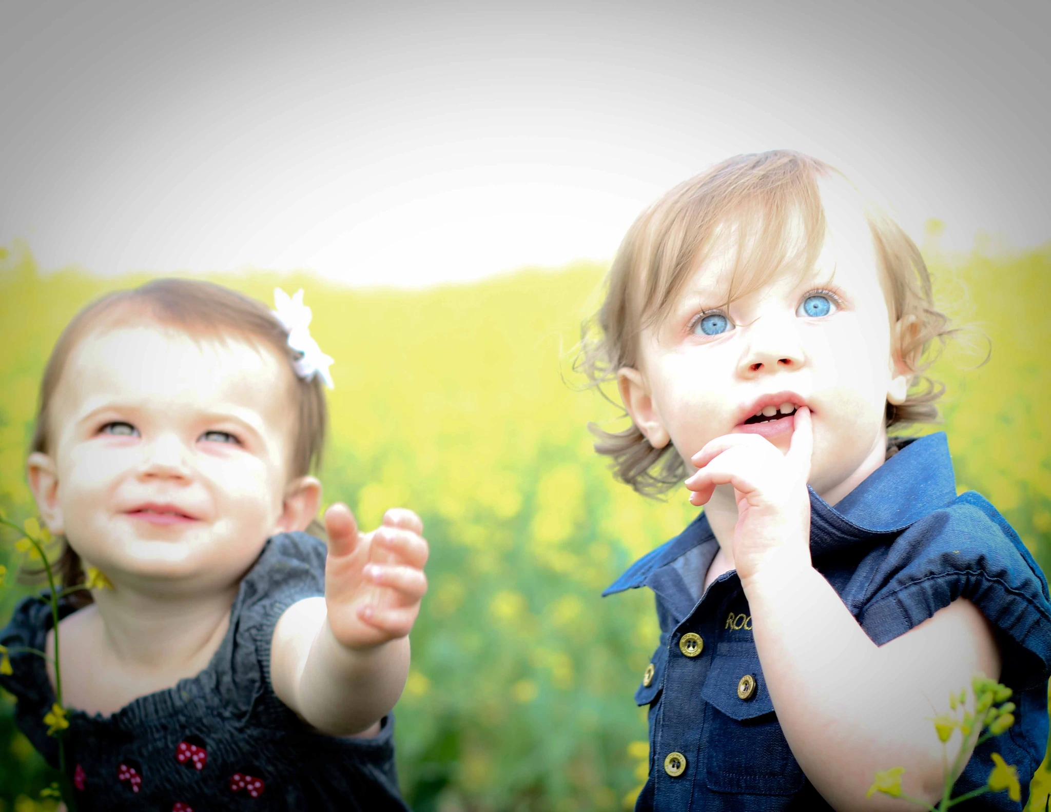 Two toddlers side by side in a summer field, one reaching toward the camera