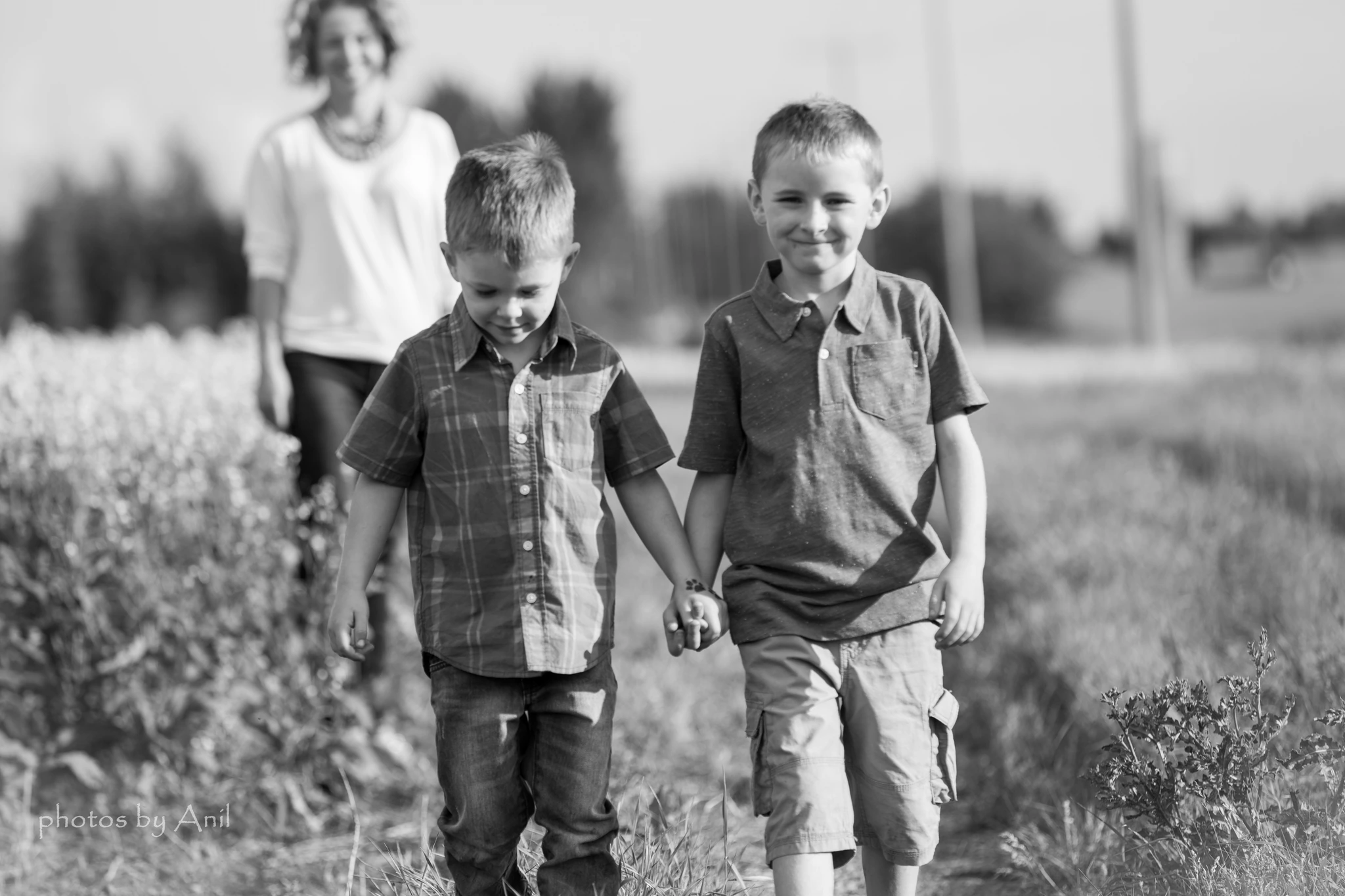 Two young brothers walking hand in hand through a field, their mother a step behind, in black and white